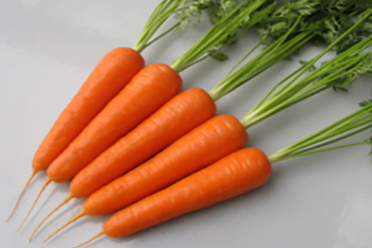 Carrot | Vegetable Seeds | Products | SUMIKA AGROTECH CO., LTD.